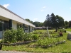 WMS Garden Beds- July